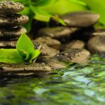 3 habitudes indispensables pratiquées par les militaires pour être zen au quotidien