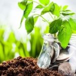 38 astuces pour vivre simplement et être économe