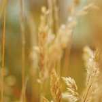 15 choses pour devenir minimaliste et vivre simplement